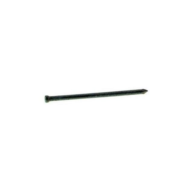 Clou en Acier Galvanisé à Chaud 3 Po. 5 Lb 10D Finition - Lot de 6