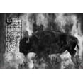 thumbnail image 2 of Wiley, Marta 24x17 Black Ornate Wood Framed with Double Matting Museum Art Print Titled - Buffalo BandW, 2 of 4