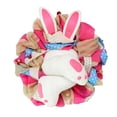 thumbnail image 1 of Guirnalda de conejo de Pascua con orejas y trasero para colgar en la pared, letrero de bienvenida para el hogar D, 1 of 7