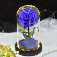 thumbnail image 5 of Rosa eterna en campana, hermosa rosa y cristal con luces LED, base de pino para el día de San Valentín, fiesta de cumpleaños, boda, día de la madre, regalos creativos kaili Sencillez, 5 of 5