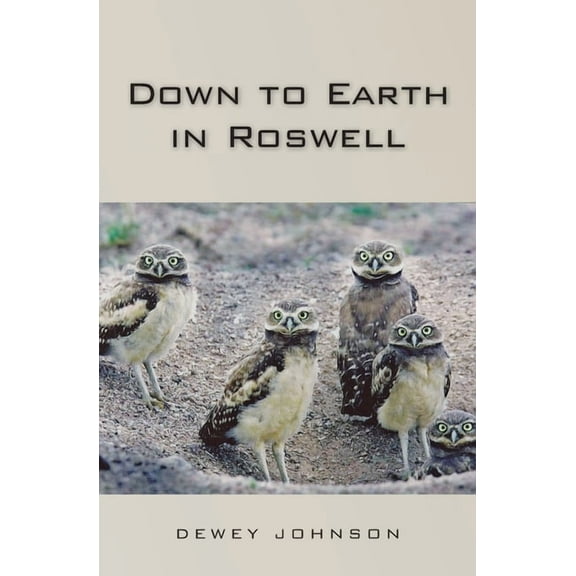 Down to Earth in Roswell (Paperback)