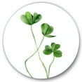 thumbnail image 2 of Designart - Field Plant Detail Clover - Farmhouse Metal Circle Wall Art, 2 of 5