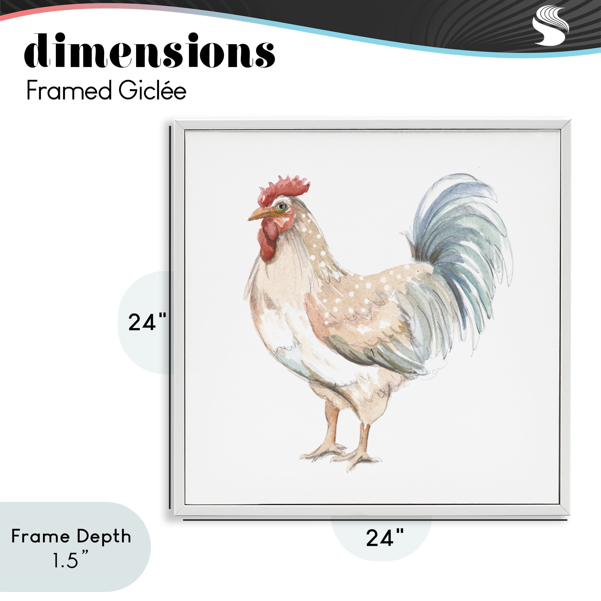 Stupell Industries Watercolor Rooster Sketch White Framed Giclee Art, design by Patricia Pinto