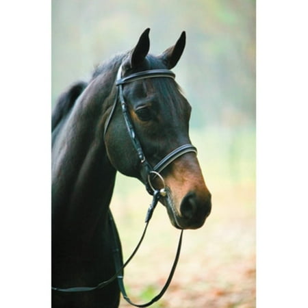 Pony Dressage Bridle - Henri De Rivel Dressage Bridle with Web Reins
