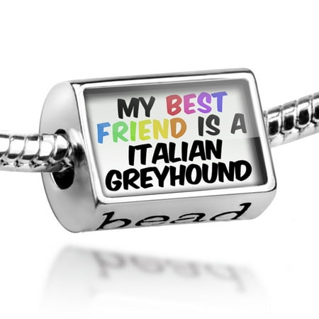 Bead My best Friend a Italian Greyhound Dog from Italy Charm Fits All European