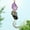 A3 Yannianjz under 5$, variant on Natural Amethyst Crystal Car Pendant under $5! Yannianjz Natural Amethyst Crystal Car Hanging Ornament, Handmade Crystal Pendant for Windshield and Mirror, Decorative Prism for Sun Catcher