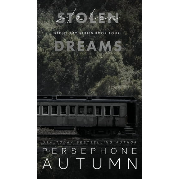 Stone Bay Stolen Dreams, Book 4, (Hardcover)