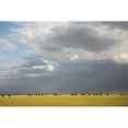 thumbnail image 2 of Posterazzi DPI12273584 Herd of Elephants with Dramatic Clouds in Lake Manyara National Park - Tanzania Poster Print - 19 x 12 in., 2 of 4