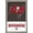 Barnwood Framed Version, variant on NFL Tampa Bay Buccaneers - Logo 21 Wall Poster with Push Pins, 22.375" x 34"