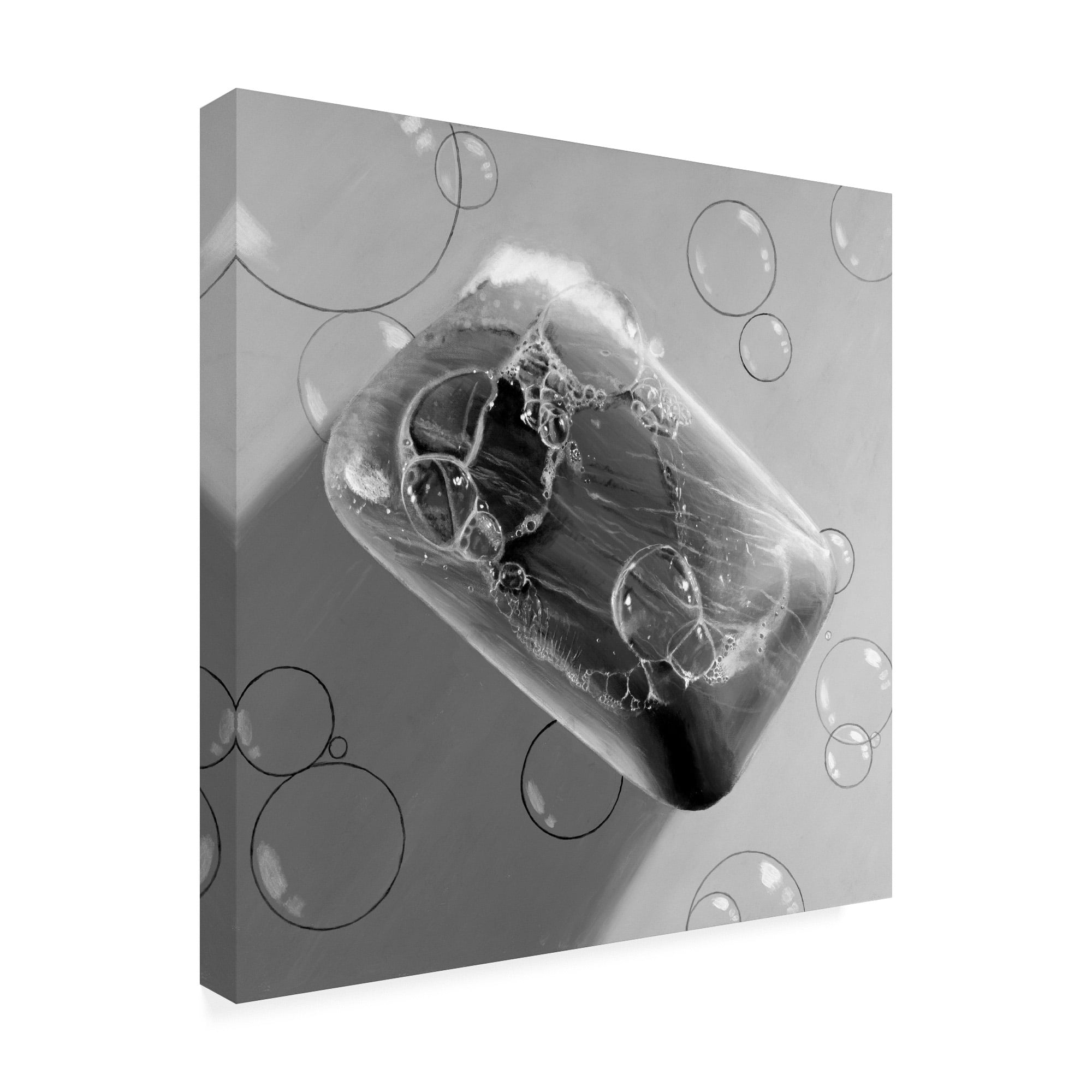 Trademark Fine Art 'Black & White Soap' Canvas Art by Roderick Stevens