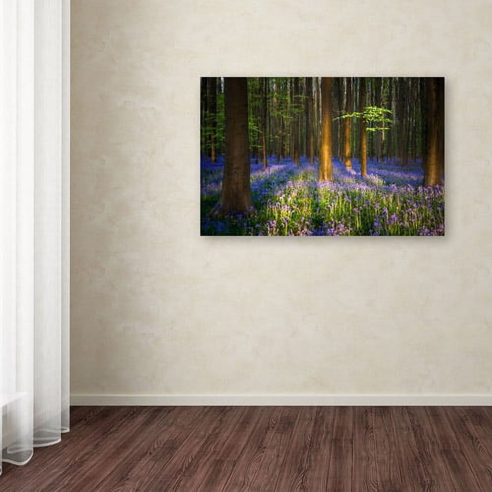 Trademark Fine Art "Mystical Forest" Canvas Art by Mathieu Rivrin