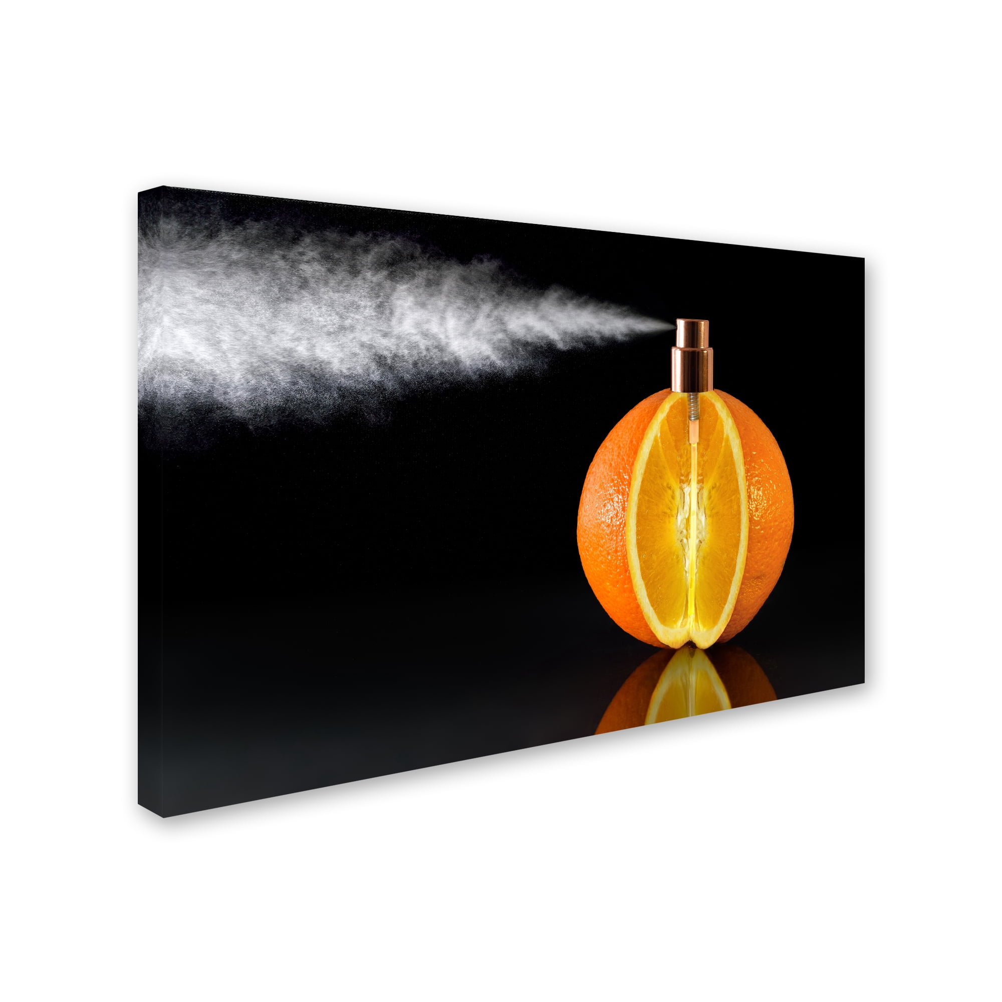 Jesus M Garcia 'Natural Perfum' Canvas Art