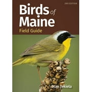 Bird Identification Guides: Birds of Maine Field Guide (Paperback)