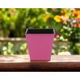 thumbnail image 5 of 5" Hot Pink Recycled Plastic Indoor Outdoor Rectangular Nursery Pot, 5 of 5