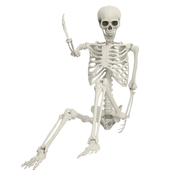 Aqyh 5.4ft Halloween Skeleton Decorations - Realistic Full Body Posable Plastic Skeleton with Movable Joints, for Graveyard, Haunted House Props Decor - Indoor & Outdoor