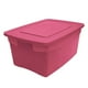 thumbnail image 1 of Caja 16 Gal/60 Lts Arizona Rosa Lipstick Plastic Trends, 1 of 3