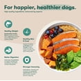 thumbnail image 4 of Jinx Salmon, Brown Rice, & Sweet Potato Dry Dog Food, 30lb. Bag, 4 of 11