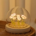 thumbnail image 3 of Light Up Rose in Glass Dome, Rose Flower Lamp Night Light for Bedroom Decor, Battery Powered (Pink), 3 of 14