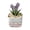 Purple, variant on Personalized Eternal Tulip in Glass Dome, Artificial Flower Decor for Mom's Birthday, Everlasting Tulip Keepsake for Mother's Day, Unique Floral Night Light Gift for Grandma, Wife, and Women, Anniver