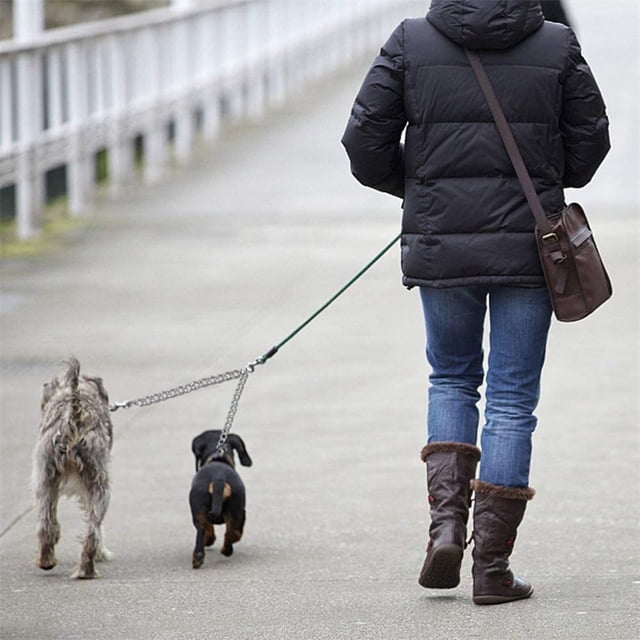 1 correa de doble cabeza para mascotas, de aleación de aluminio, con doble correa de tracción, cadenas para pasear a dos perros (40 cm)