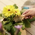 thumbnail image 5 of Back to the Roots Organic Premium Blend All-Purpose Plant Food, 1.5 lb Bag, 5 of 8