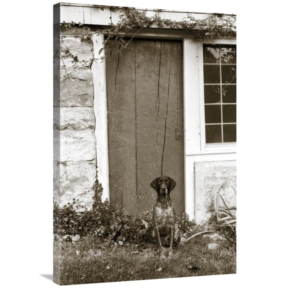 Global Gallery's 'I am Home' By Jim Dratfield Stretched Canvas Wall Art