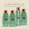 thumbnail image 5 of Aveeno Refresh & Thicken Fresh Greens Blend Shampoo, 12 Oz, 5 of 5