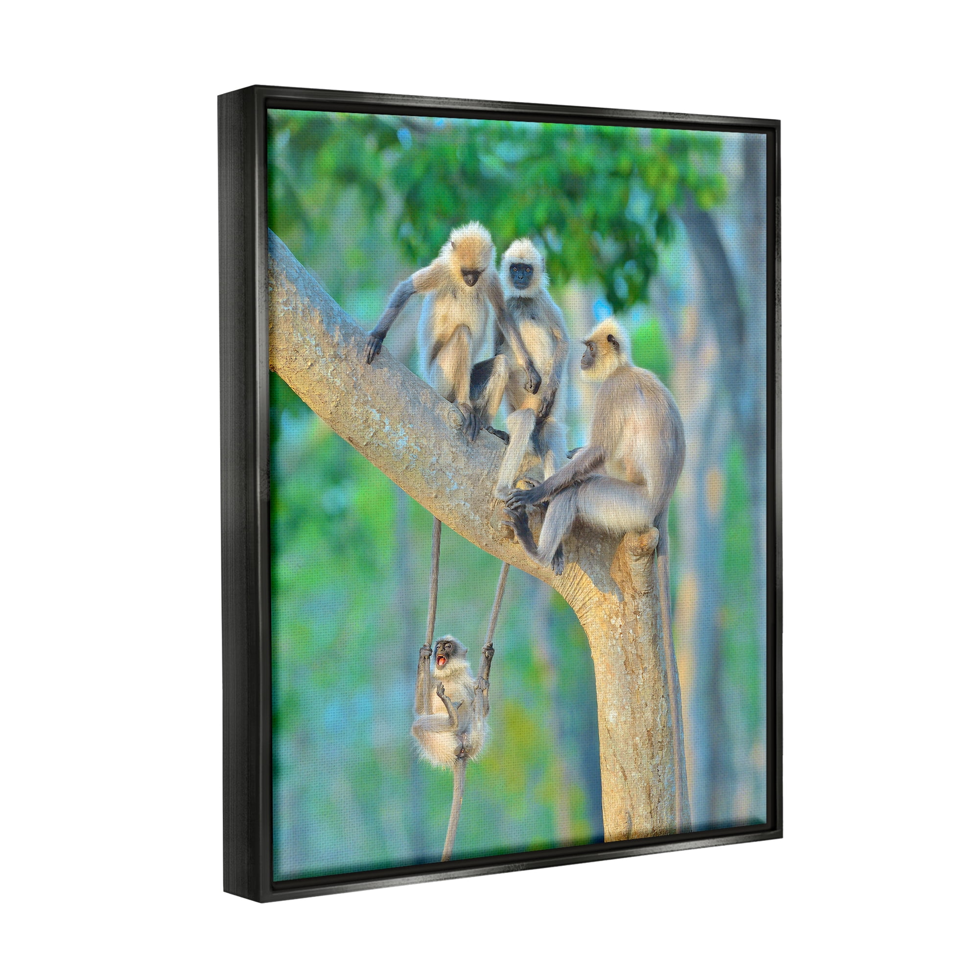 Stupell Industries Fun Playing Monkeys Animals & Insects Photography Black Floater Framed Canvas Art Print Wall Art, 25 x 31