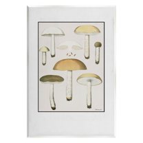 Various Mushrooms Forest Plant Botanical & Floral Graphic Art Unframed Art Print Wall Art