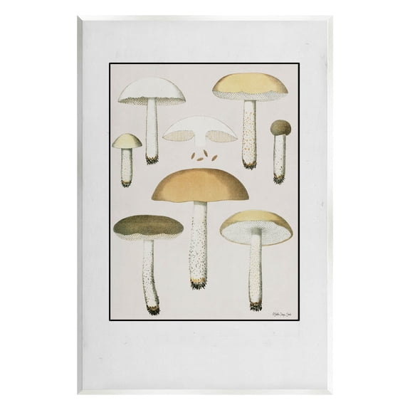 Various Mushrooms Forest Plant Botanical & Floral Graphic Art Unframed Art Print Wall Art