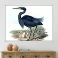 thumbnail image 2 of Designart 'Ancient Australian Birds III' Traditional Framed Canvas Wall Art Print, 2 of 5
