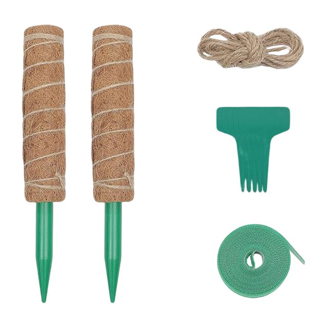 de soporte de barra de escalada para plantas Monstera para plantas Juego de 30 cm. Zulema postes de musgo