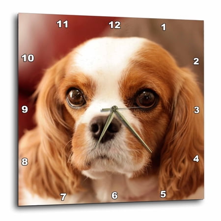 3drose, Easton, Pennsylvania, Usa, Pr., 10x10 Wall Clock