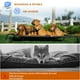 thumbnail image 4 of Cama para Perro Elevada,122×71×21cm Cama Elevada para Perro Grande con Malla Lavable y Transpirable,colchoneta Perro Grande extraíble para Uso Interior y Exterior, 4 of 8