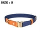 thumbnail image 2 of Collar de nailon premium para perros con cierre de metal, disponible en varios colores vibrantes., 2 of 5