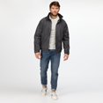 thumbnail image 3 of Regatta - Chaqueta impermeable y cortavientos (aislamiento Thermoguard) modelo Dover (Gris/Negro), 3 of 3