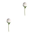 thumbnail image 4 of Baohd 1/2/3/5 10pack/lot Realistic Appearance Artificial Flower For Party Decor And Home Decor White 2PCS, 4 of 6