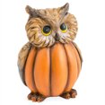 thumbnail image 1 of Estatuilla de búho con forma de cuerpo de calabaza para decoración del hogar, 1 of 1