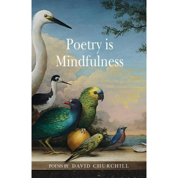 Poetry is Mindfulness (Paperback)