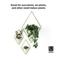 thumbnail image 4 of Umbra Trigg Hanging Planter Vase & Geometric Wall Decor Container, Small, White/Brass, 4 of 5