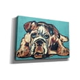 thumbnail image 2 of Epic Graffiti 'Cute Bulldog' by Irena Orlov, Canvas Wall Art, 18"x12", 2 of 8