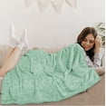 thumbnail image 6 of PAVILIA Mint Green Throw Blanket for Couch, Twin Bed, Soft Fleece Throws for Sofa Chair, Fuzzy Waffle Textured Blanket, Cozy Warm Lightweight All Season Blanket Throw, 60x80, 6 of 8
