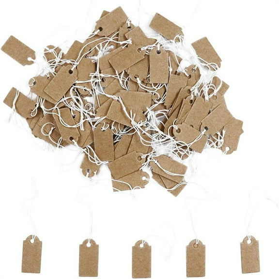 -100 Pcs Display Tags with Hanging String Mini Writable Blank Label Display Tags for Jewelry Store Price Marking Ornament Pricing Product Clothing Hanging Tags (Small, Kraft)
