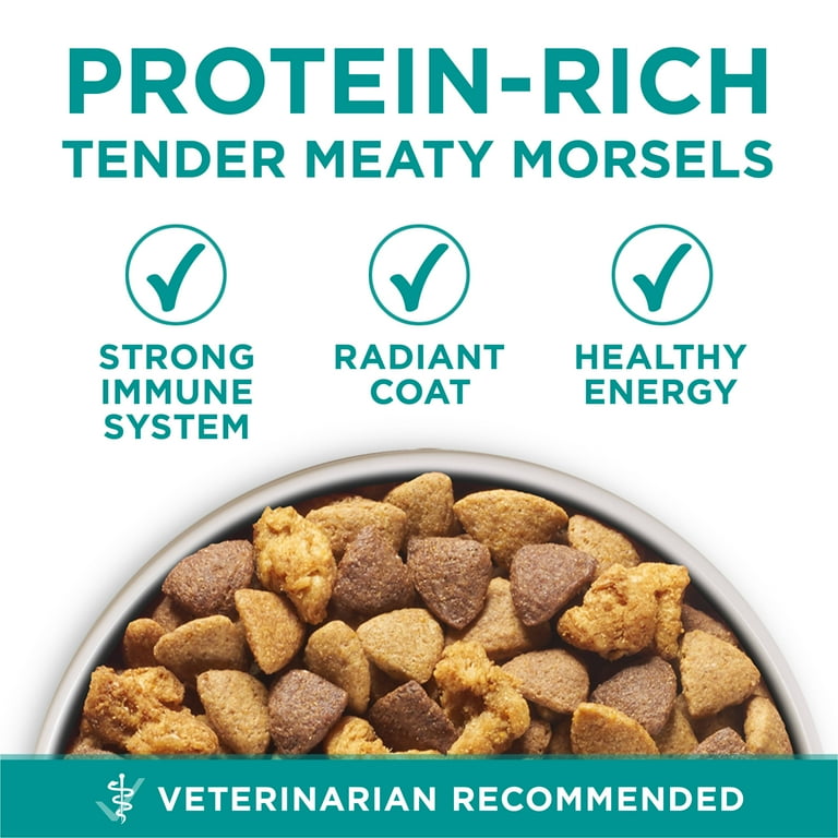 Digestive care dog food walmart hot sale