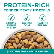 Purina ONE Plus Dry Dog Food Digestive Health, High Protein Natural Chicken & Rice, 16.5 lb Bag