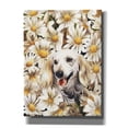 thumbnail image 1 of Epic Graffiti 'Dachsund In Daisies' by Barbara Keith, Canvas Wall Art, 40"x54", 1 of 8