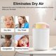 thumbnail image 2 of Cool Mist Humidifier Air Humidifier Portable Personal Desktop USB Humidifier with Night Light for Car, Office, Home, 2 of 5