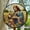 Jesus Tortoise, variant on Hanging Stained Glass for Windows Dungeons Dragons, Mother’s Day Keepsake, Valentine’s Day Decor, Festival Gift Ornament, Christmas Ornament Gift, Keepsake 2025