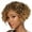257T, variant on Liesha Wig by Especially Yours – Synthetic Fiber Yaki Texture Women’s Wig with Extended Neck for Natural Everyday Style
