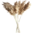 thumbnail image 1 of Hierba de pampa seca natural, tallos que se desprenden poco para decoración de bodas bohemias, sin mantenimiento (30/50 piezas), 1 of 5